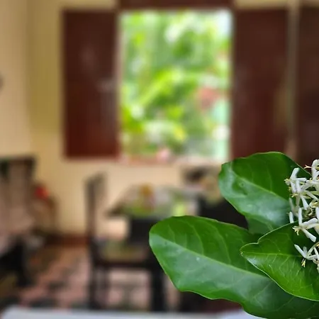 Hostal La Isabela Room 1 * Шамони