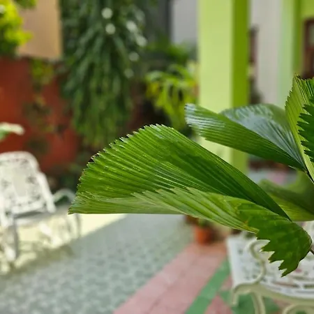 Hostal La Isabela Room 1 Апартаменты *